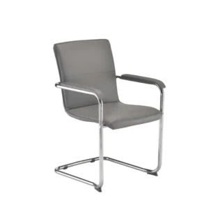 Pavia Meeting / Visitor Chair Grey