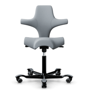 HÅG Capisco Chair 8106