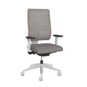 Toleo Mesh Back Grey Frame Task Chair