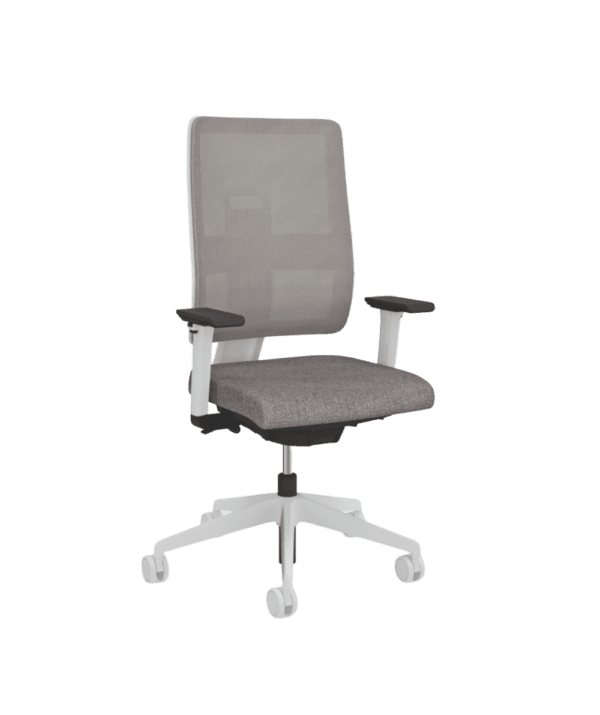 Toleo Mesh Back Grey Frame Task Chair