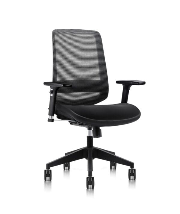 C19 Ultimate Ergonomic Chair