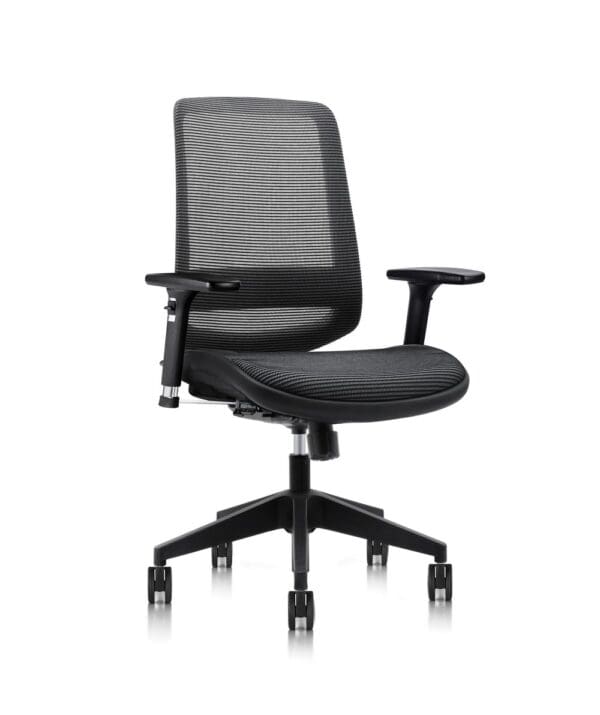 C19 Ultimate Ergonomic Chair