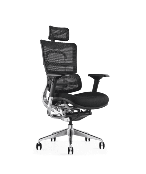 i29 Ergonomic Support Chair