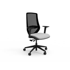 Emi Ergonomic Mesh Back Task Chair