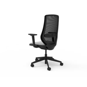 Emi Ergonomic Mesh Back Task Chair