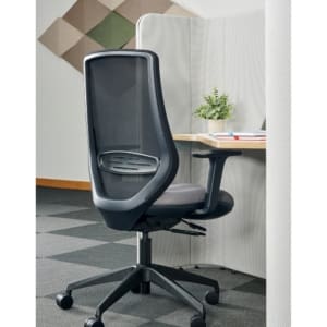 Emi Ergonomic Mesh Back Task Chair