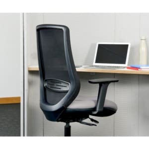 Emi Ergonomic Mesh Back Task Chair