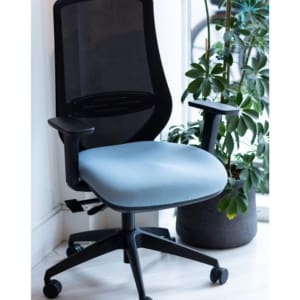 Emi Ergonomic Mesh Back Task Chair