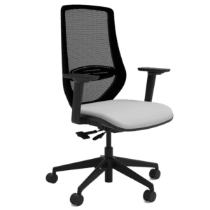 Emi Ergonomic Mesh Back Task Chair