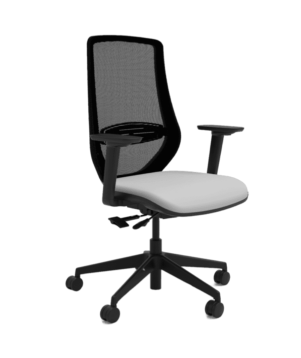 Emi Ergonomic Mesh Back Task Chair