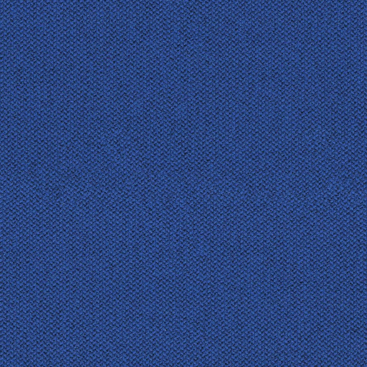 Camira Era Perennial (CSE12)