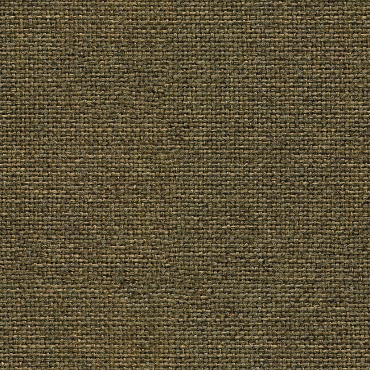 Camira Citadel Manor (FL823)