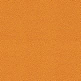 Camira Xtreme Solano (YS072)