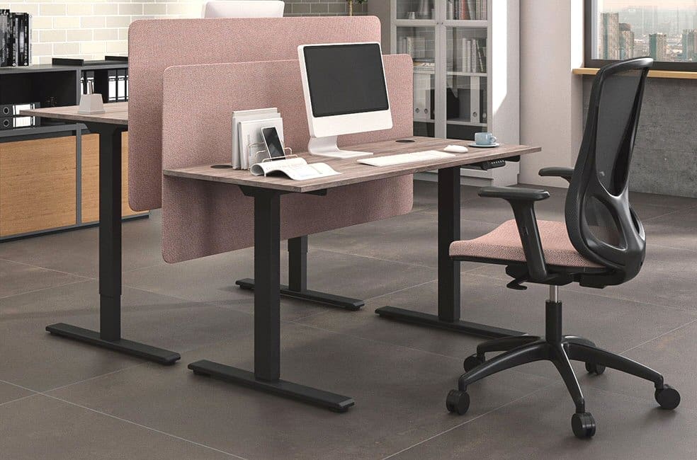 Ergonomic Dual Motor Sit-Stand Desk R810