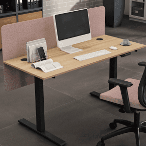 r810 Ergonomic Dual Motor Sit-Stand Desk R810