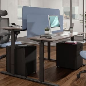 r8102 Ergonomic Dual Motor Sit-Stand Desk R810