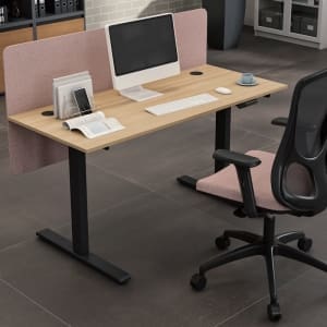 Ergonomic Dual Motor Sit-Stand Desk R810